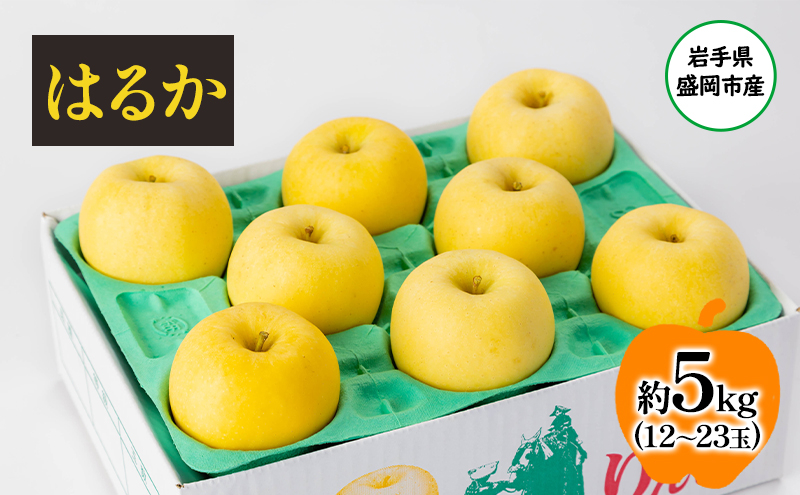 
                  盛岡から「農で人をつなぐ」藤与果樹園：はるか5kg フルーツ 果物 旬のフルーツ 旬の果物 旬 冬 岩手 盛岡 産地直送 玉数指定不可 詰め合わせ 岩手 盛岡
                