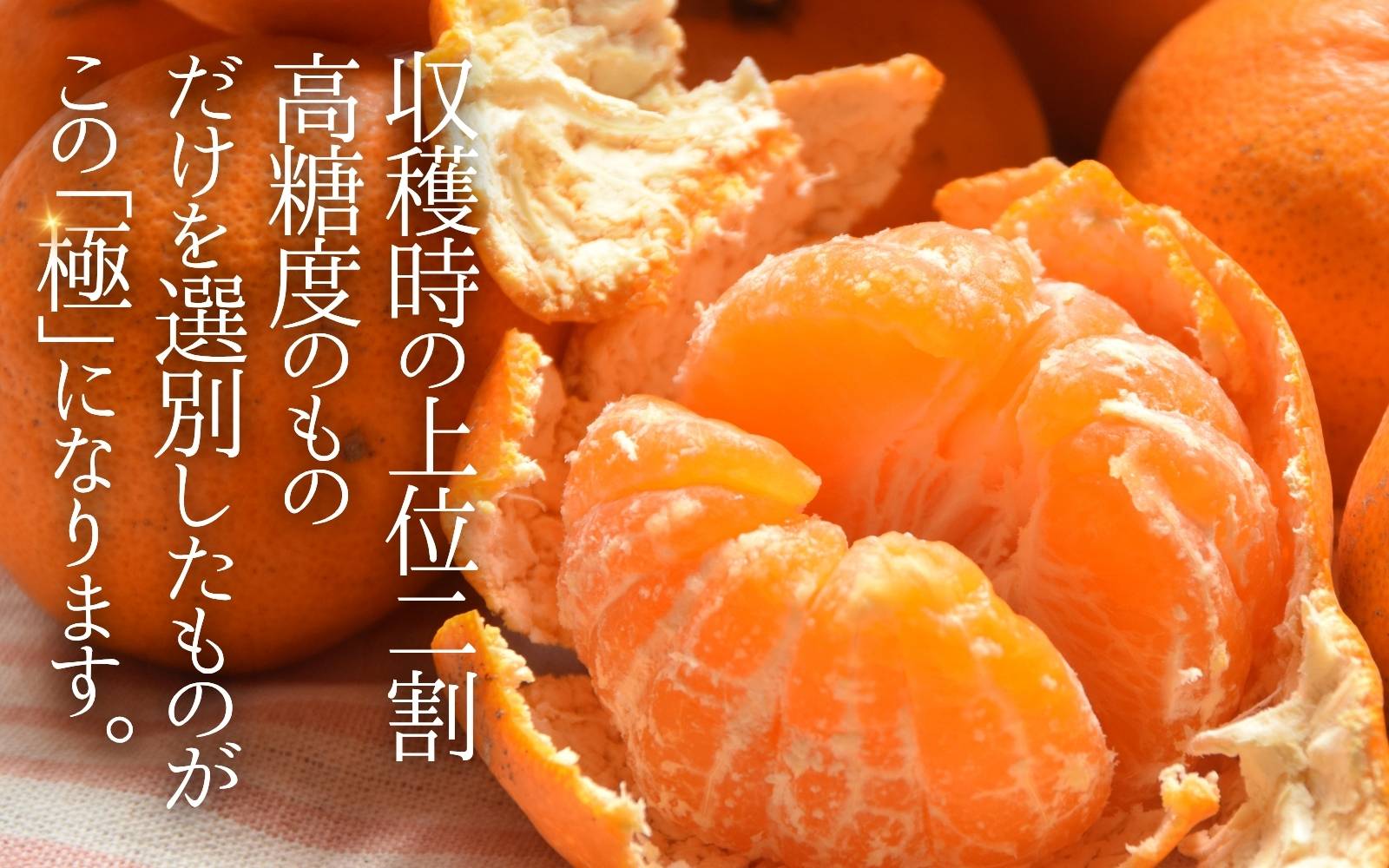 ＼光センサー選別／極 有田みかんプレミアム 10kg【選りすぐりの上位20％をお届け】2S～Lサイズ 有機質肥料100% ※2025年11月下旬頃～2026年1月上旬頃に順次発送予定 ※北海道・沖縄・