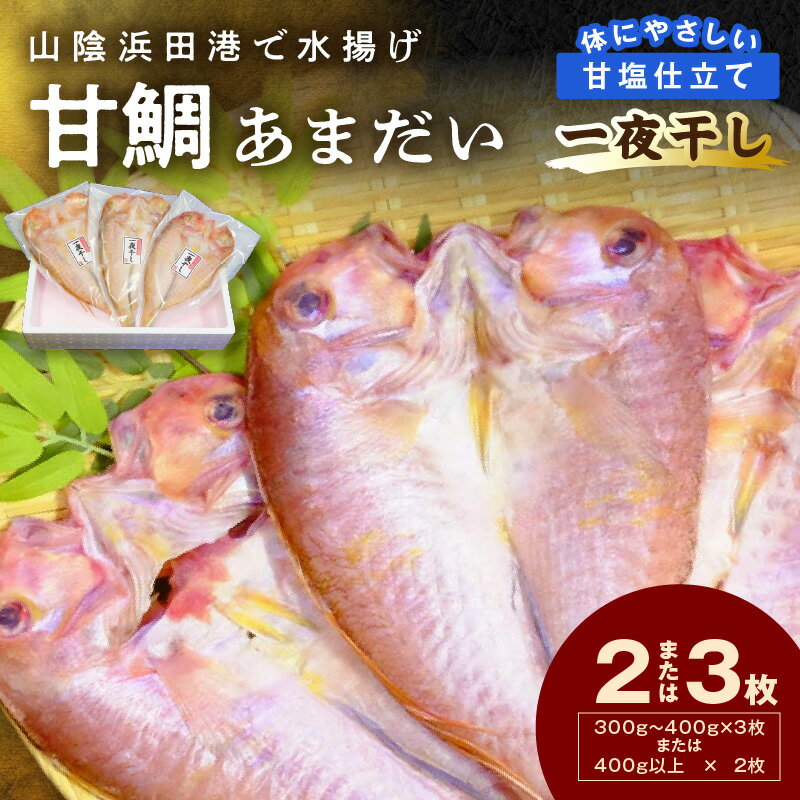 【ふるさと納税】山陰浜田港！ 甘鯛一夜干し 個包装 一夜干し 干物 ひもの 冷凍 干物 鯛 甘鯛 たい 小分け 【136_1977】