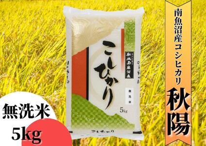 【令和7年産 新米予約】南魚沼産コシヒカリ「秋陽」(無洗米5kg)×3回 新潟県の特A地区南魚沼市の美味しいお米【2025年（令和7年）10月上旬より順次発送予定】【米 お米 こしひかり 南魚沼 米 無洗米 こめ 新潟 米】