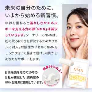 ターナリ―NMN（60粒入パウチ）×４袋【エイジングケア 高純度 健康維持 毎日習慣 国内工場 緑黄色野菜 ビタミンA ビタミンC ビタミンE NAD 美容 健康 カプセル 静岡 伊豆　RNA NMN