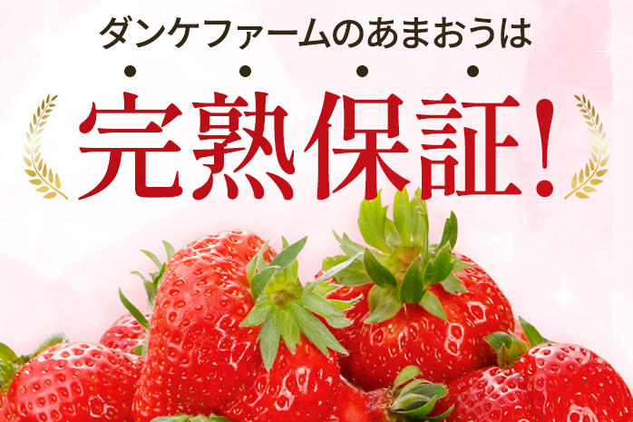 いちご あまおう 約1100g （約275g×4パック） 【先行受付／2027年3月～5月中旬順次発送予定】