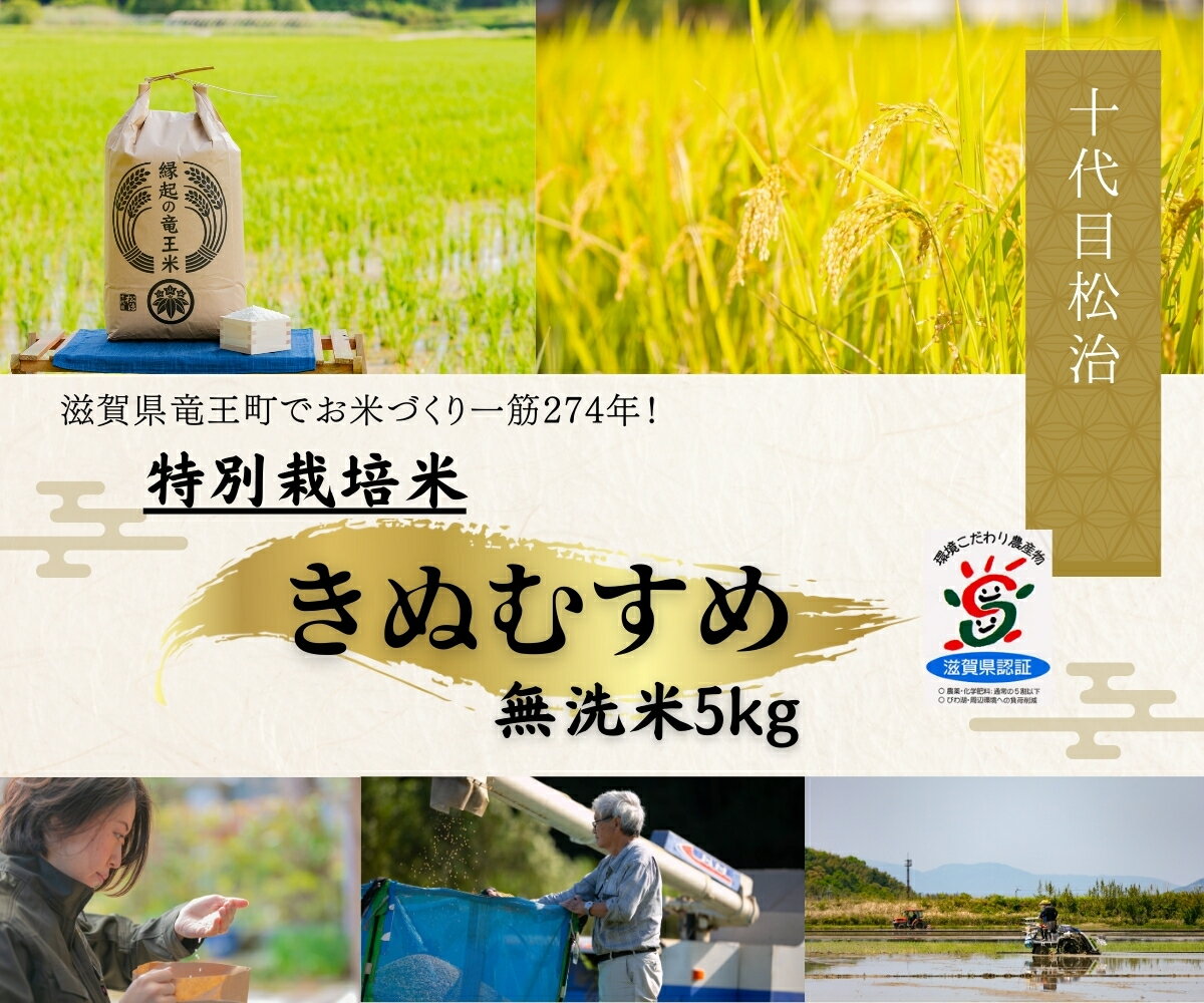 【ふるさと納税】 きぬむすめ 無洗米 5kg 縁起の竜王米 特別栽培米 ( 令和7年産 ブランド米 無洗米 精米 おこめ ご飯 270年続く お米 農家 ライス 環境 こだわり米 農家直送 ギフト 国産 滋賀県 竜王町 ふるさと納税 )