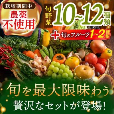 ふるさと納税 大洲市 【全12回定期便】栽培期間中農薬不使用!旬のお野菜セット×もぎたてフルーツセット [AGBX008] |  | 01