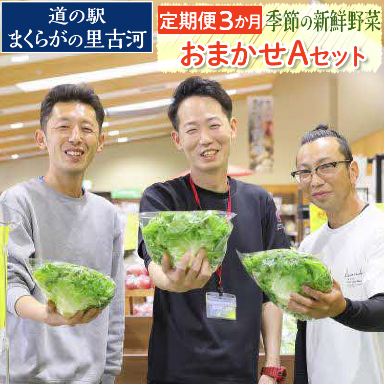 【定期便3か月】道の駅まくらがの里古河　季節の新鮮野菜おまかせAセット ※北海道・沖縄・離島への配送不可 | 野菜 詰合せ 定期便 詰め合わせ セット アソート 新鮮 道の駅 人気 ギフト 贈答 贈り物 プレゼント お中元 お歳暮 茨城県 古河市 直送 農家直送 産地直送 _BQ05