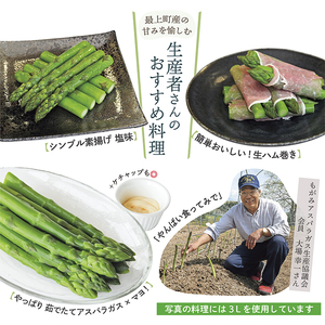 JA【令和8年産】最上町特産グリーンアスパラ2kg