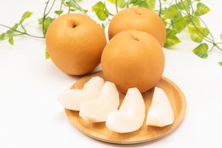 【先行受付】南水 12～14玉 約5㎏｜ふるさと納税 松本市 南水 果物 フルーツ 梨 なし ジューシー 果肉 美味しい 人気