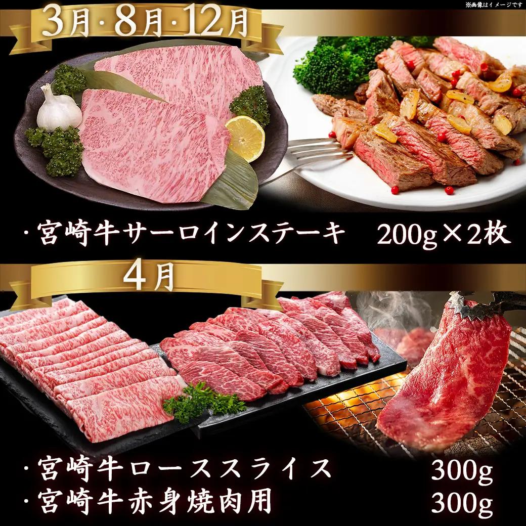 宮崎牛定期便(10ヶ月)〔T120（10）-0103〕_(都城市) 宮崎牛 A5 10ヶ月定期便 赤身 バラ ロース スライス 焼肉用 切り落とし サーロインステーキ
