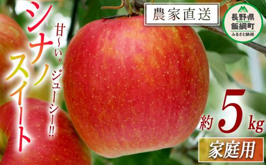 りんご シナノスイート 家庭用 5kg 松橋りんご園 沖縄県への配送不可 2025年10月上旬頃から2025年11月上旬頃まで順次発送予定 令和7年度収穫分 フルーツ リンゴ 信州 長野県 飯綱町 [0826]