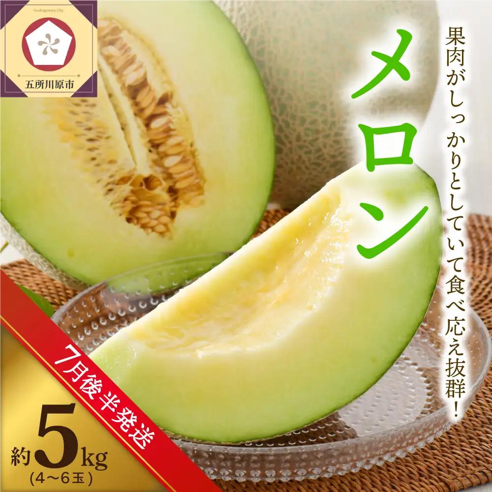 【2026年7月後半発送】 メロン 青肉 約5kg (4～6玉) 青森県産 メロン