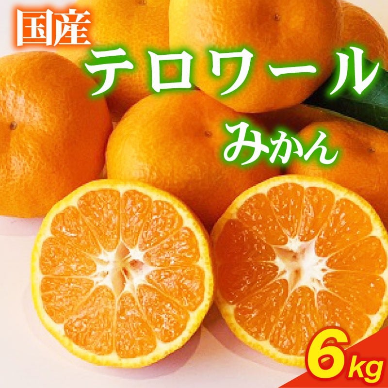 
            【先行予約】 果樹園直送 美味しさが濃いね! テロワールみかん 6kg （12月～１月発送） 柑橘 みかん いたくら農園果汁 果実 農家直送 産地直送 ギフト プレゼント 贈答 お中元 濃厚 旨味 季節 かんきつ オレンジ 果汁 ミカン 甘み 香りお歳暮 美味しい 果物 フルーツ テロワール 新鮮 国産 安心 静岡みかん さっぱり 甘い 静岡蜜柑 牧之原みかん 静岡 県 牧之原 市 いたくら農園
          