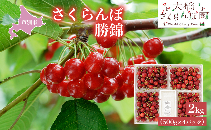 【 先行受付 】さくらんぼ 赤 勝錦2kg（500g×4パック）サクラ