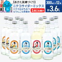 【ふるさと納税】＜お中元 ギフト＞ニテコサイダーミックス 300ml×12本セット 4種（ニテコサイダー3本、りんごサイダー3本、はちみつサイダー3本、炭酸水3本）あきた美郷づくり