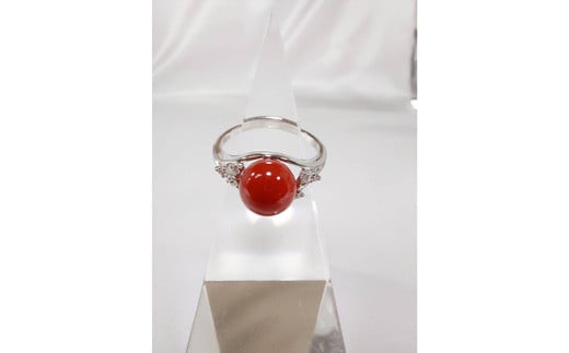 海の秘宝珊瑚：リングE