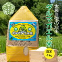 【ふるさと納税】【令和6年産】世羅 ダルマガエル米 白米 4kg(2kg×2袋) お米 ごはん ご飯 米 世羅産 世羅米 あきろまん A055-04