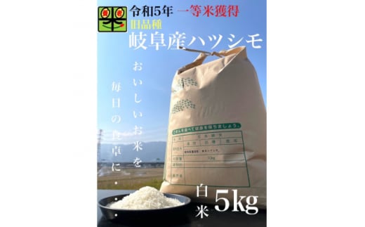 令和6年産　岐阜ハツシモ(旧品種)　5kg　白米【1460021】