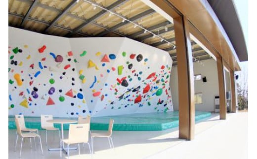 【ふるさと納税】選べる枚数！はだの丹沢クライミングパーク利用チケット（2時間）｜クライミング ボルダリング 体験チケット 手ぶら リード スピード スポーツ 利用券 初心者 上級者 山岳スポーツ 登山 トレーニング 運動 神奈川 秦野 丹沢 表丹沢