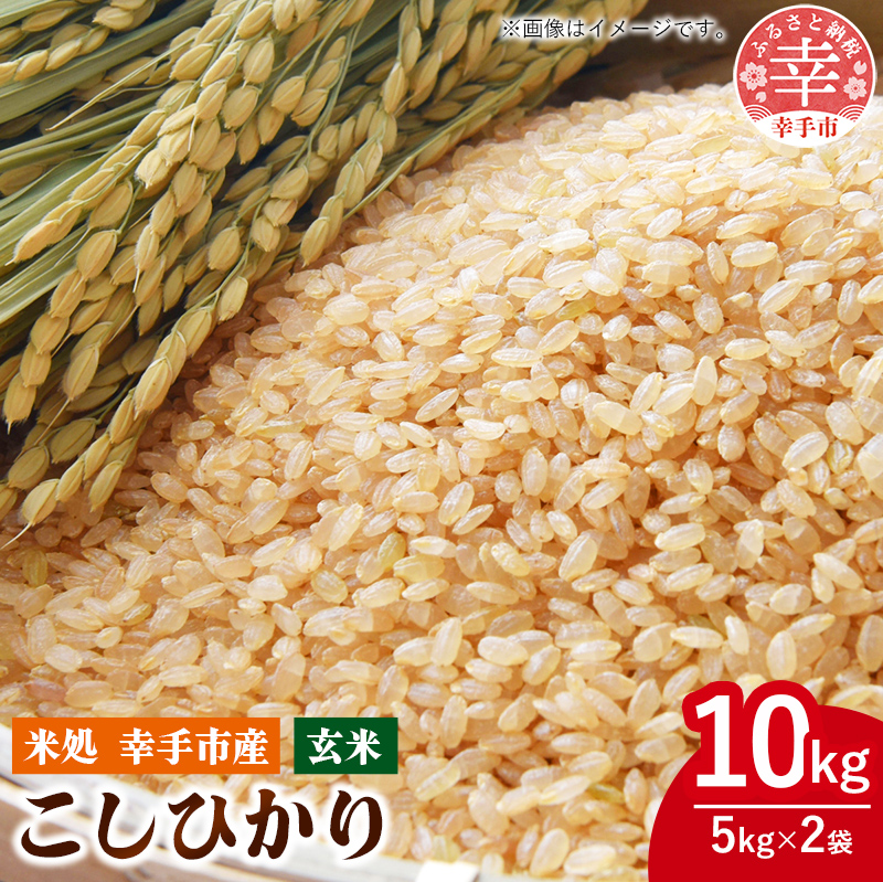 令和6年幸手産 こしひかり【玄米】５㎏×2袋 - コシヒカリ 玄米 10kg 令和6年産 埼玉県 幸手市 幸手市産【価格改定ZA】