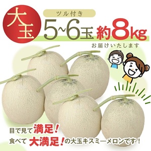 SC0676　特選 庄内産 キスミーメロン　約8kg(青肉 大玉/5～6玉入つる付) 