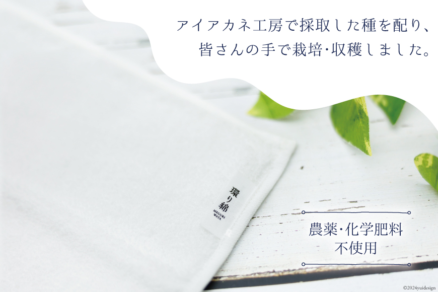 環り綿 ハンドタオル 白綿 [アイアカネ工房 長崎県 雲仙市 item1470] ハンドタオル 綿 ハンカチ 日本製 白 オーガニック コットン タオルハンカチ