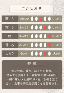 【定期便6回】コシヒカリ 無洗米 2kg（1kg×2）令和7年産 [095-t06-a213]