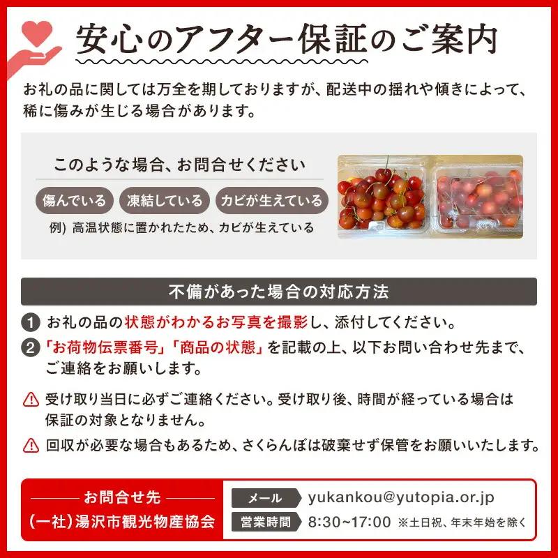 三関産 さくらんぼ 訳あり 500g（250g×2）佐藤錦 紅秀峰 サイズ混合 【藤利果樹園】[B14605]