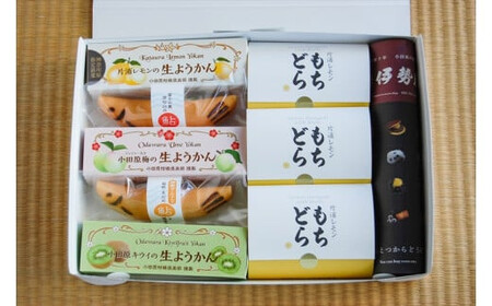 【夏限定】老舗小田原伊勢屋　小田原の夏を感じる和菓子セット〈出荷時期:2025年6月15日～2025年8月31日〉【 和菓子店 神奈川県 小田原市 】