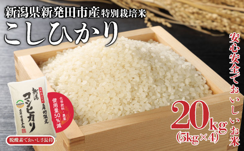 
            特別栽培米 コシヒカリ 20kg 5kg×4袋 令和6年産  米 こめ ご飯 ごはん おいしい 新潟 新潟県 米 5kg 10kg 20k コシヒカリ 新発田産 新潟産 朝食 昼食 夕飯 炊きたて 精米 watasho006_1
          