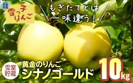 【数量限定 2026年 4月発送 予約受付 】 雪っ子 りんご 熟成 シナノゴールド 10kg 岩手県 北上市 G0216 展勝地レストハウス 数量限定 リンゴ 林檎 果物 フルーツ 果実 贈答用リンゴ 雪室貯蔵 雪室リンゴ  
