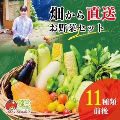 ふるさと納税 太田市 群馬県太田市産　有機JAS認証　新鮮な季節のオーガニック有機野菜　11点前後の詰め合わせセット