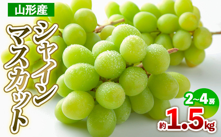 
            山形産 シャインマスカット 約1.5kg(2～4房) 【令和7年産先行予約】FS24-709
          