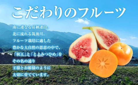 セミドライフルーツ 5袋セット とよみつひめ 《30日以内に出荷予定(土日祝除く)》福岡県 ドライフルーツ いちじく イチジク 無花果 果物---sc_sdft_30d_23_14000_t---