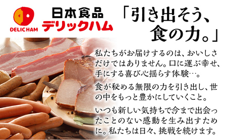 ボリューム1.056kg 九州産豚肉100％あらびきポークウインナーセット 6パック あらびき ポークウインナー 九州産 五島灘の塩 天然羊腸 ジューシー ドイツ 金賞 福岡県 福岡 九州 グルメ お