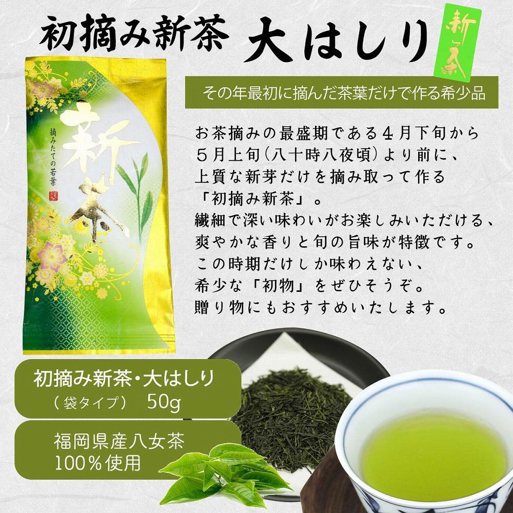 【定期便】八女茶100％ 四季折々の上級茶をお届け ≪３袋ずつ 年間５回 ≫ 定期便 八女茶 お茶 茶 新茶 煎茶 福岡県 高級 緑茶 八女市