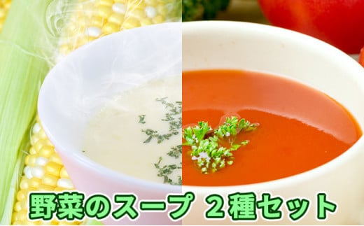 
[№5525-0572]北海道伊達産野菜のスープ2種セット
