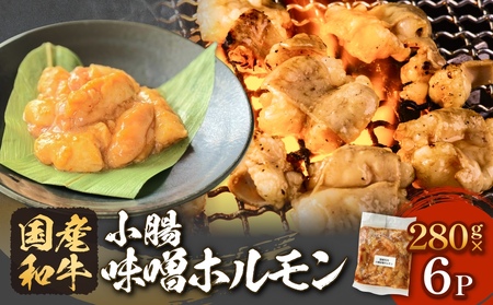 黒毛和牛 味噌 ホルモン 6P 味噌ホルモン 牛ホルモン 小腸 国産 宮城県産 味付 モツ 和牛 肉 お肉 牛肉 牛 内臓 宮城県 石巻市