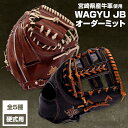 【ふるさと納税】宮崎和牛革使用 WAGYU JB硬式用オーダーミット マルチ袋 宮崎県産牛革 オーダー 製作 捕手用 塁手用 本体カラー ラベルカラー 紐 ステッチカラー サイズ調整 受注生産 全国和牛能力共進会 内閣総理大臣賞 宮崎県 宮崎市 送料無料