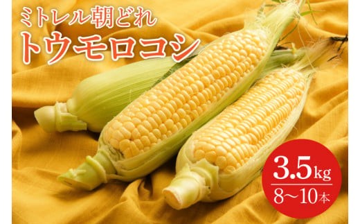 
                  【本田農園】ミトレル朝どれトウモロコシ【とうもろこし コーン 野菜 新鮮 期間限定 朝採れ 糖度 お取り寄せ 旬 旬野菜 水戸市 茨城県】（JN-1）
                