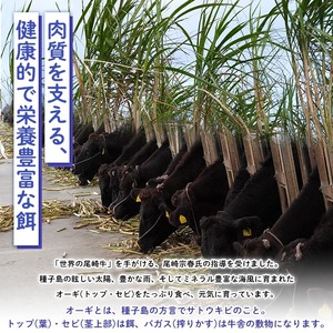 n404 梶屋牛 バラスライス(計600g・300g×2P) 黒毛和牛 牛肉 国産 九州産 鹿児島県産 バラ スライス 肉 ビーフ 天然飼料 サステナブル 和牛 お祝い 【株式会社Calfields】