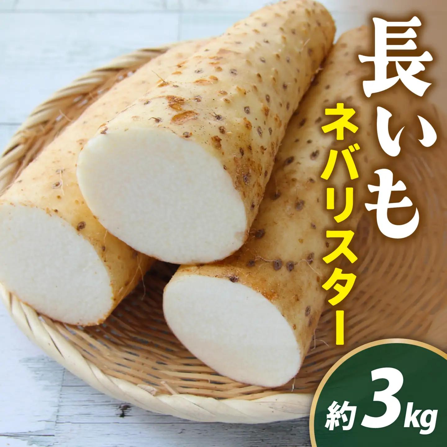 【先行予約 2026年収穫分】長いも（ネバリスター）3kg１箱 / 長いも