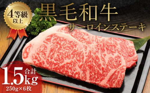 くまもと 黒毛和牛 サーロインステーキ 1.5kg（250g×6枚）牛肉 牛 肉