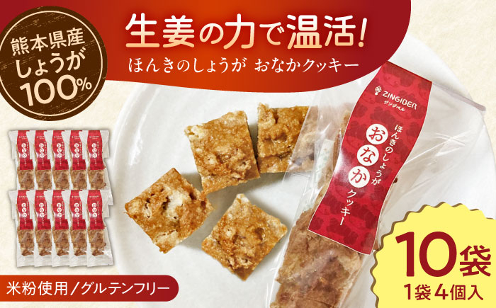 
                  ほんきのしょうが おなかクッキー10袋セット / 生姜 しょうが ショウガ クッキー お菓子 おやつ 熊本 こだわり【ジンジベル】 [AYAD008]
                