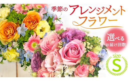 ※親※【 選べる お届け 回数 】季節 の フラワーアレンジメント ＜ S ＞ 花 お花 季節の花 生花 3ヵ月 6ヶ月 12ヶ月 定期便　記念日 誕生日 自宅用 インテリア 部屋飾り 装飾 贈答 ギフトプレゼント おしゃれ 茨城県 城里町 (BY001-00)