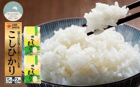 コシヒカリ 5キロ 2袋 / 国産 こしひかり  10キロ 令和7年 新米 米 お米 保存袋 生活必需品 ギフト 贈り物 お歳暮 ふるさと納税 送料無料【n0663-10_gou】