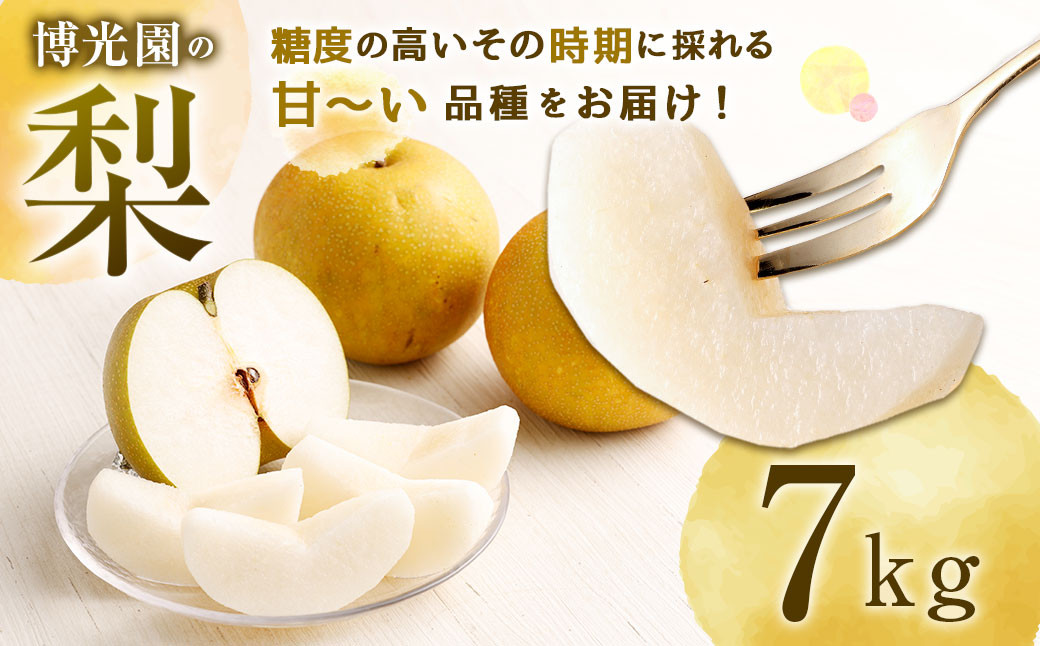 
            美味しい 【九州産】 梨 7.0kg 【2025年9月下旬～12月下旬迄発送予定】 豊水 20世紀 新高 新興 果物
          