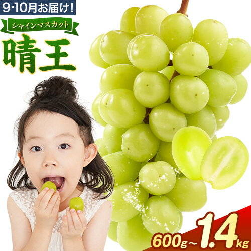【ふるさと納税】【先行予約】ぶどう シャインマスカット 晴王 600g 700g 1.2kg 1.4kg 1房 2房 ハレノフルーツ(アストライ)《9月上旬-11月中旬頃出荷》岡山県 浅口市 送料無料 フルーツ 果物 マスカット お取り寄せフルーツ【配送不可地域あり】
