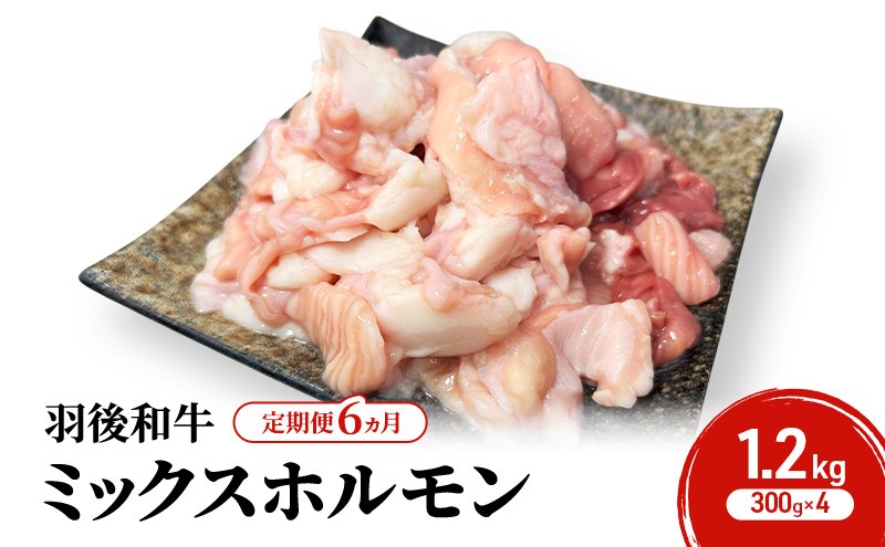 
            《 定期便 6ヵ月 》 秋田県 羽後町産 羽後和牛 ミックスホルモン 1.2kg （300g×4）【 焼肉 ホルモン BBQ バーベキュー キャンプ 】
          