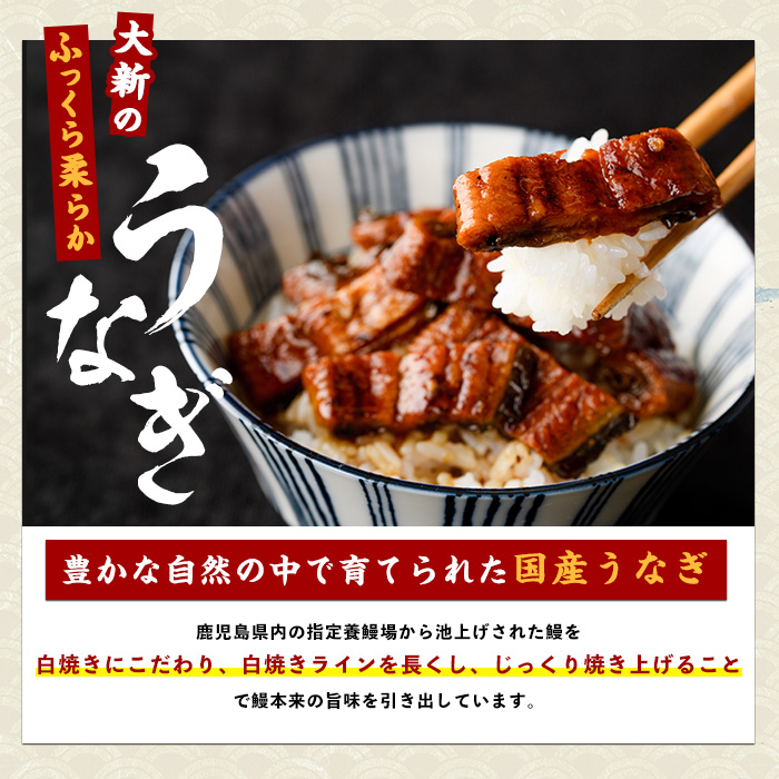 【全３回定期便・偶数月お届け】鹿児島県産うなぎ蒲焼じっくり焼き約165g×5尾(大新/Z100-1698) 鰻 蒲焼 国産 丑の日 うな重 無頭 ギフト ふっくら 小分け レンジ 簡単 頒布会 小分け