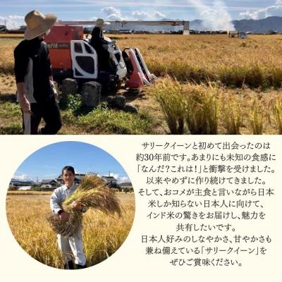 ふるさと納税 瀬戸内市 令和7年産 サリークイーン2.5kg 香り米  [No.5735-3480] |  | 01