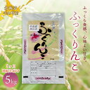 【ふるさと納税】【3か月連続お届け】令和5年産米 ふっくりんこ5kg 米 白米 米俵 F21W-302